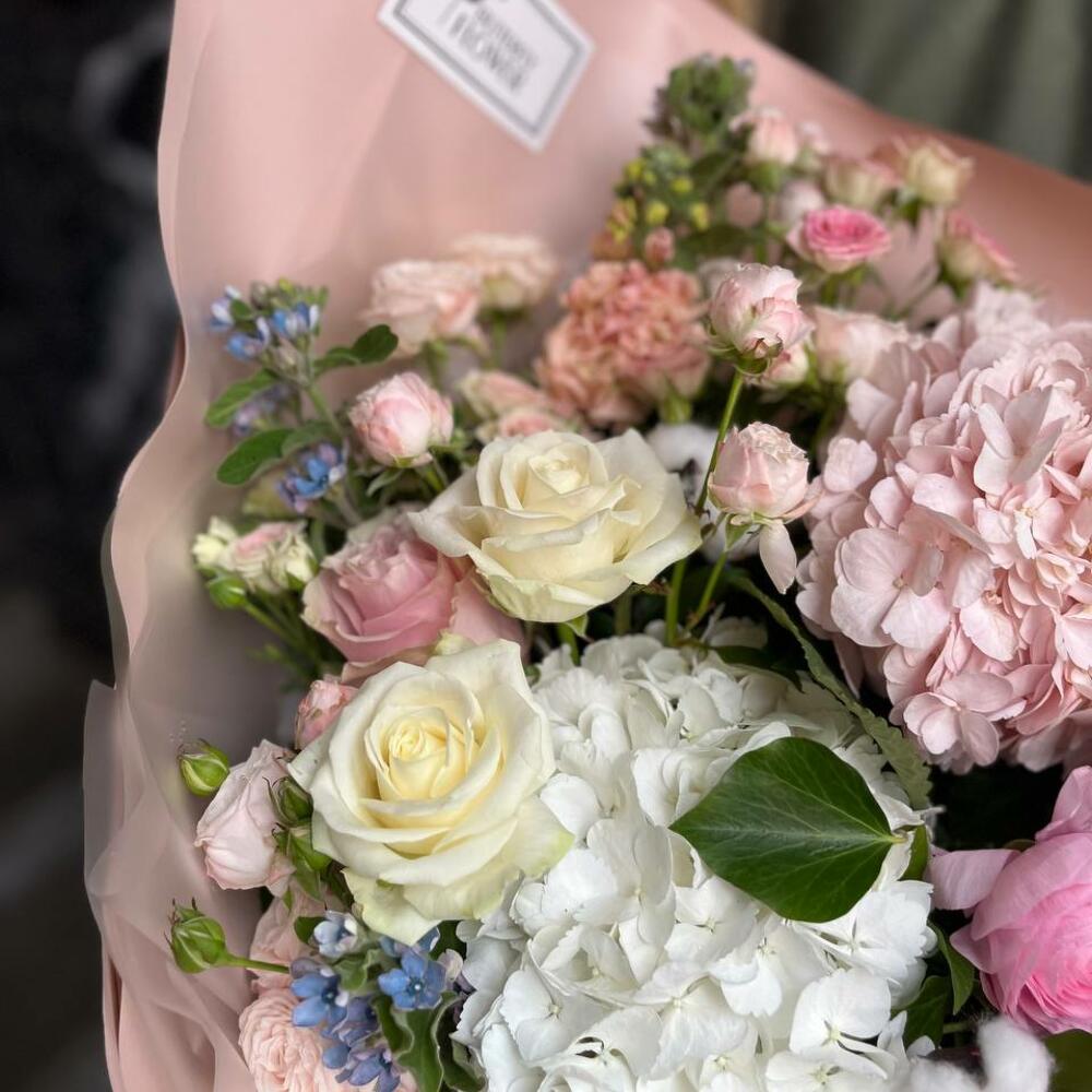 маттиолы маттиолы